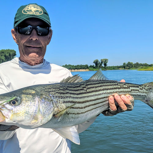 Lower Sacramento Fly Fishing Report