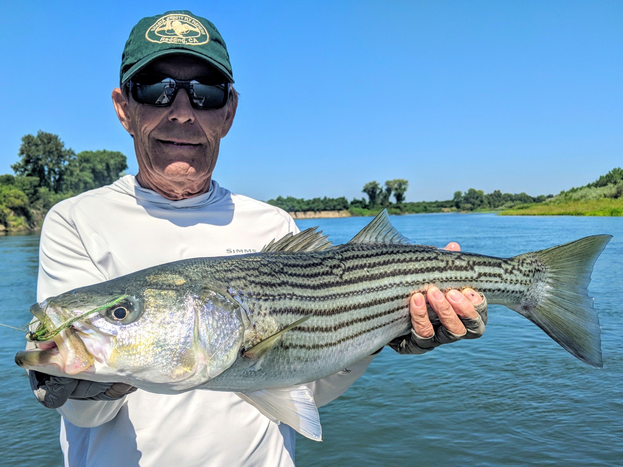 Lower Sacramento Fly Fishing Report