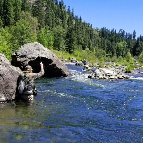 Middle Fork Feather River Fly Fishing Report 5-26-20