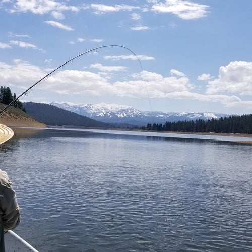Northern Sierra Fly Fishing Report