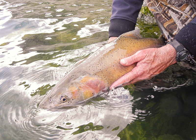 Eastern Sierra Fly Fishing Report
