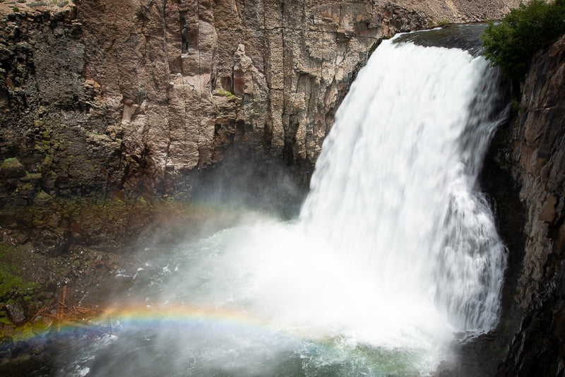 Eastern Sierra Fly Fishing Report