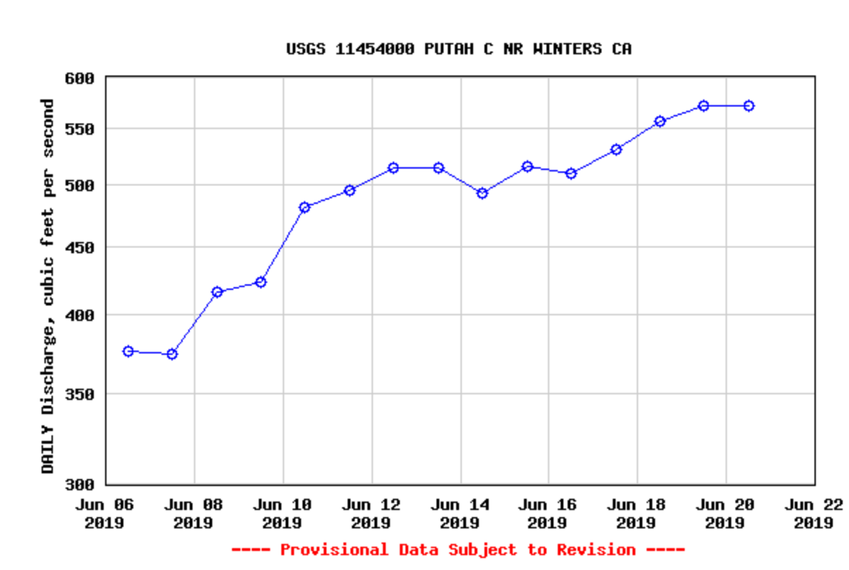 Putah Creek Fly Fishing Report