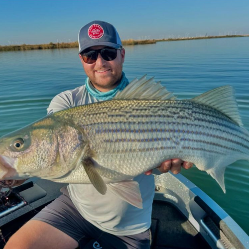 California Delta Fly Fishing Report