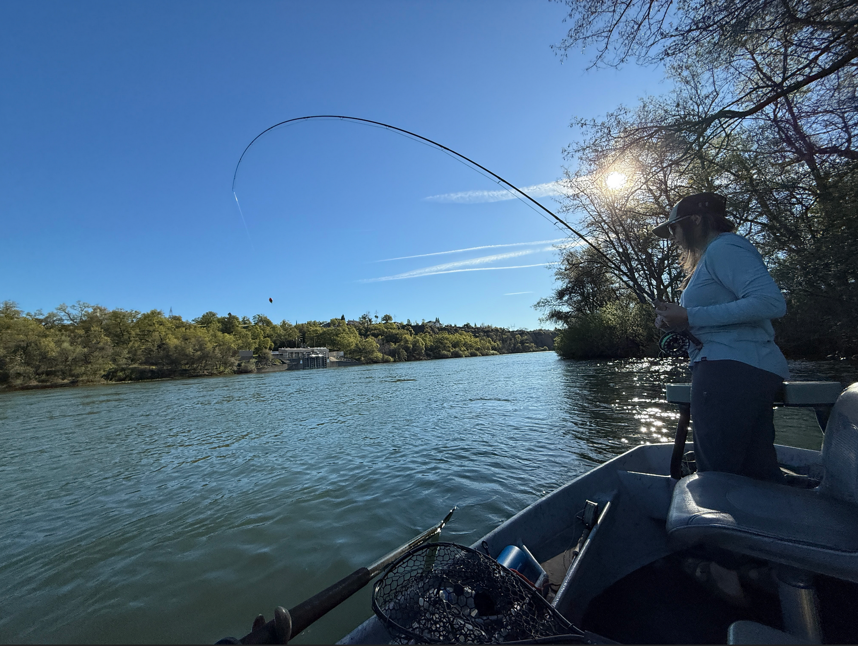 Lower Sacramento Fly Fishing Report