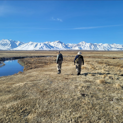Eastern Sierra Trout & Warmwater Fly Fishing Report