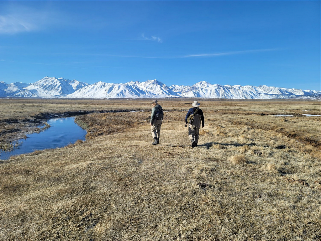 Eastern Sierra Trout & Warmwater Fly Fishing Report
