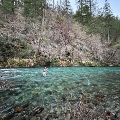 McCloud and Upper Sac Fly Fishing Report