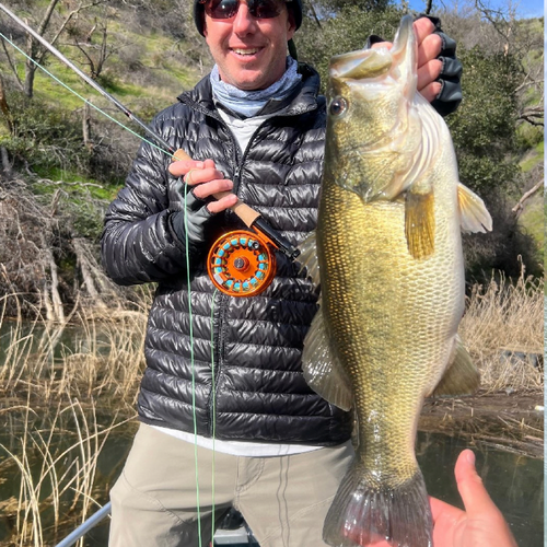 Lake Berryessa Fly Fishing Report