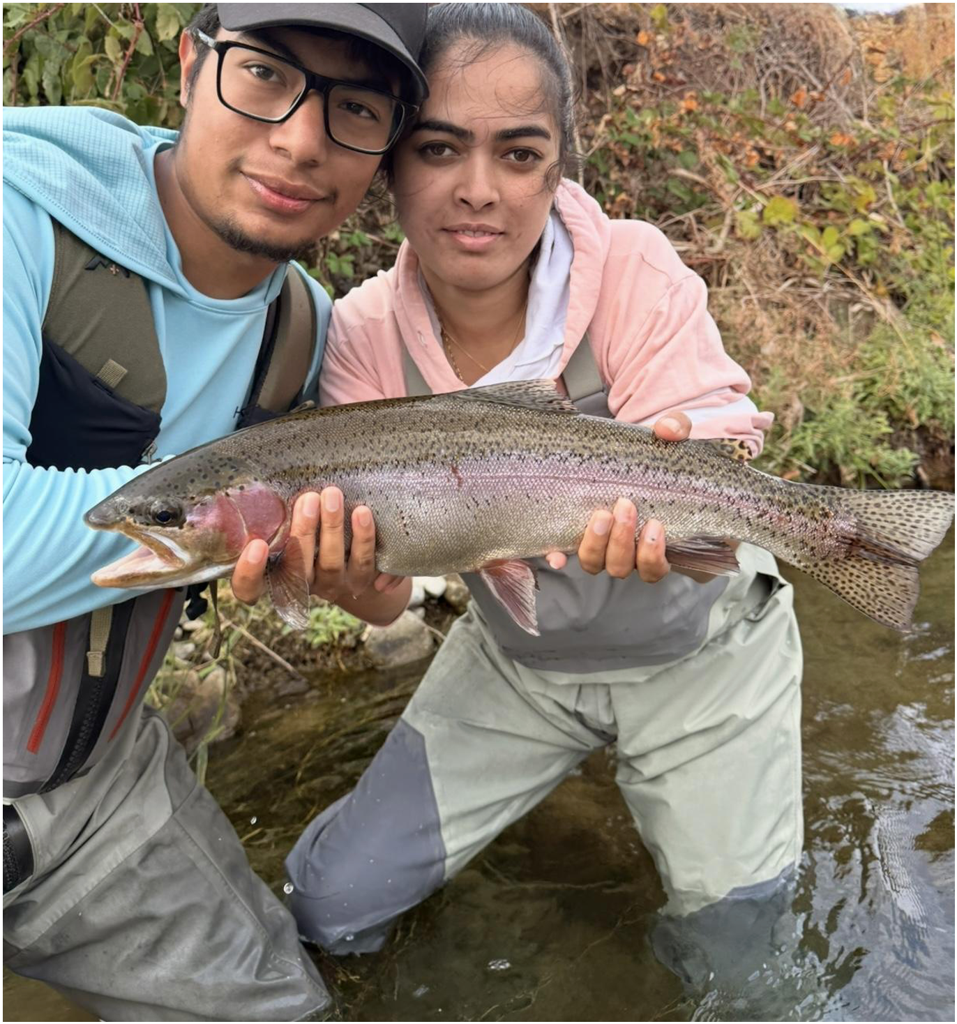 Putah Creek Fly Fishing Report