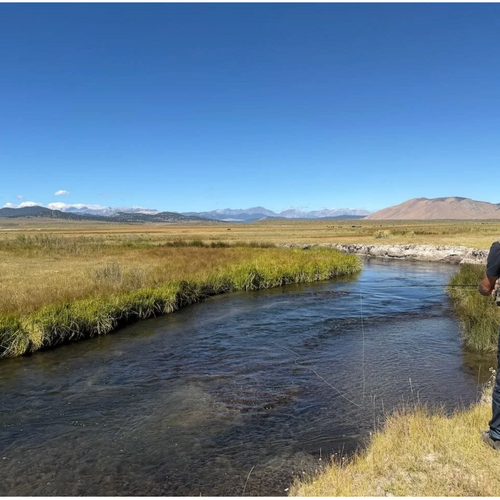 Eastern Sierra Fly Fishing Report