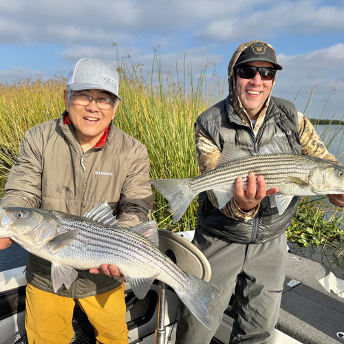 California Delta Fly Fishing Report