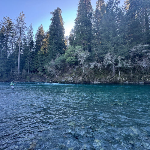 Winter Steelhead Fly Fishing Report