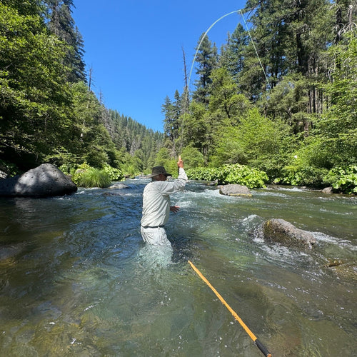 Shasta & Klamath Area Fly Fishing Report