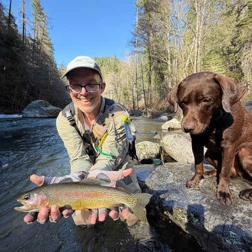 Upper Sac & McCloud River Fly Fishing Report
