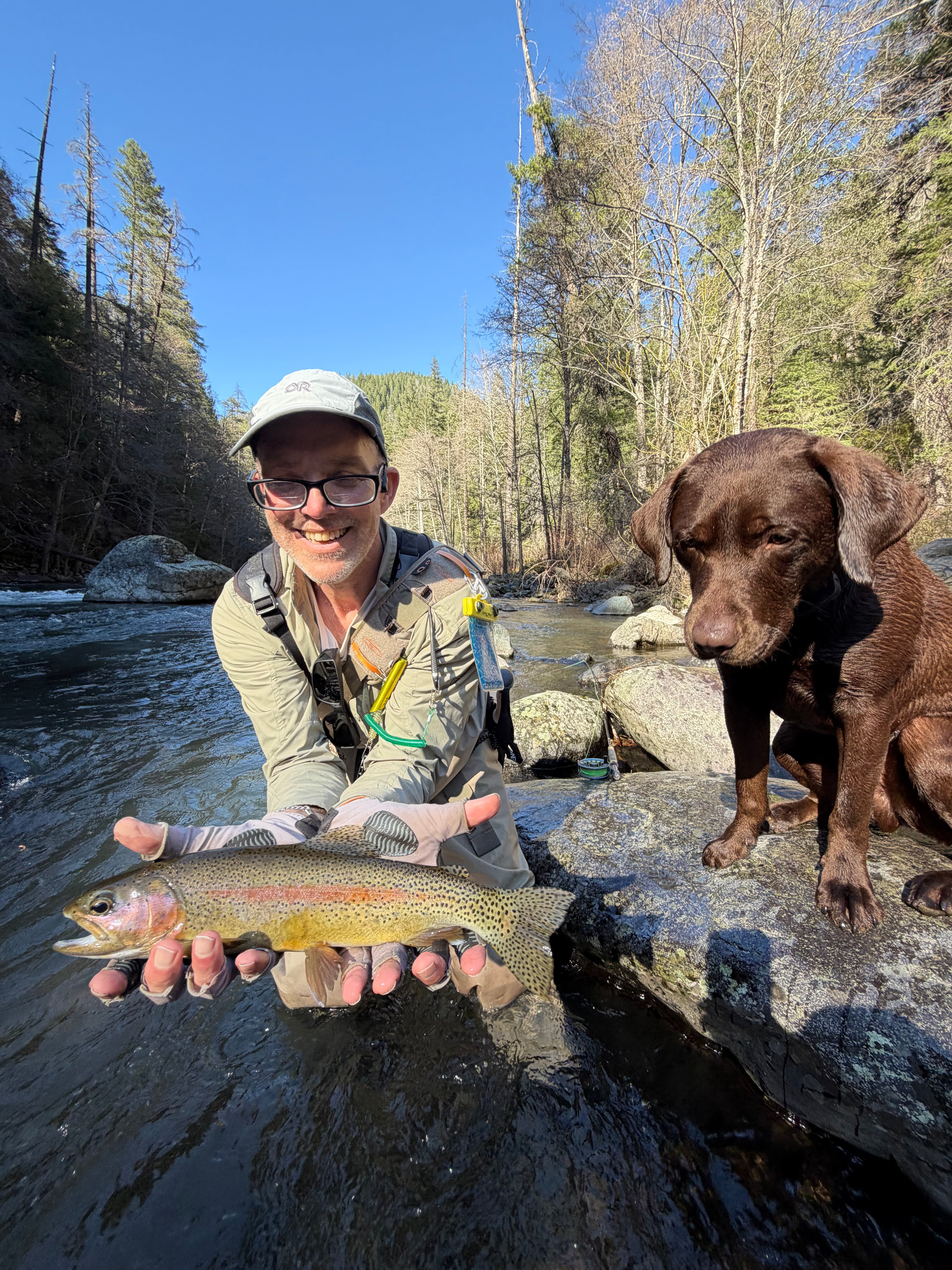 Upper Sac & McCloud River Fly Fishing Report