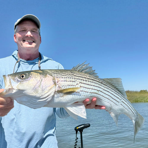 California Delta Fly Fishing Report