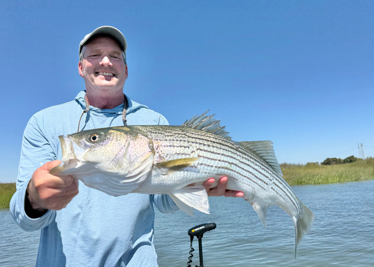California Delta Fly Fishing Report