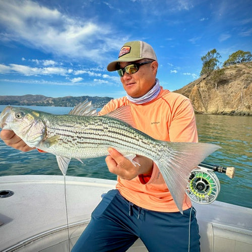 San Francisco Bay Fly Fishing Report