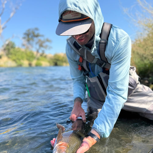 Putah Creek Fly Fishing Report
