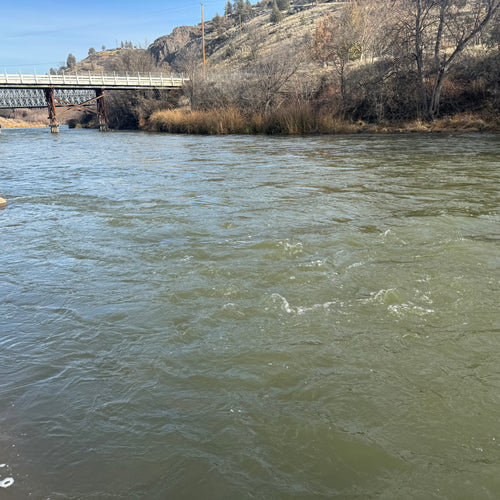 Winter Steelhead & Klamath Update