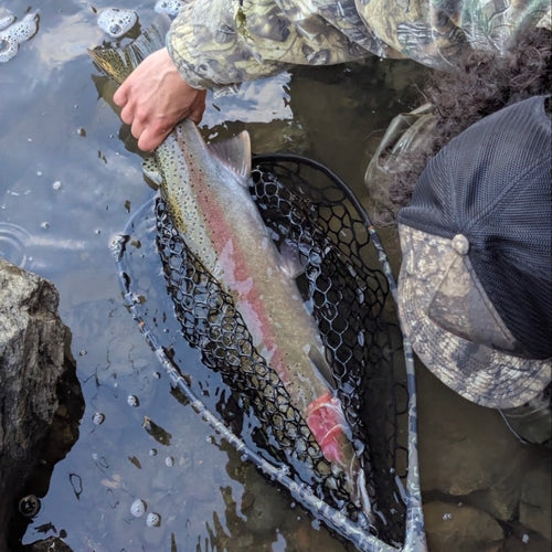 Trinity River Fly Fishing Report
