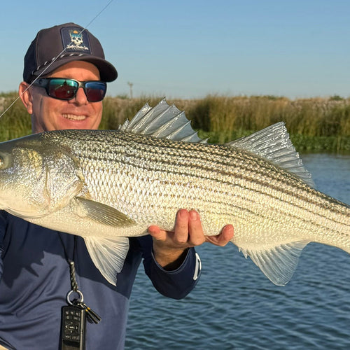 California Delta Fly Fishing Report