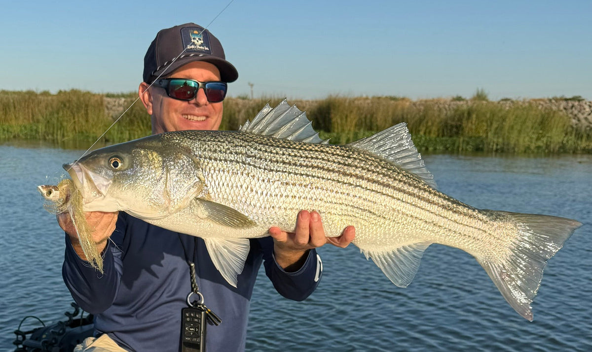 California Delta Fly Fishing Report