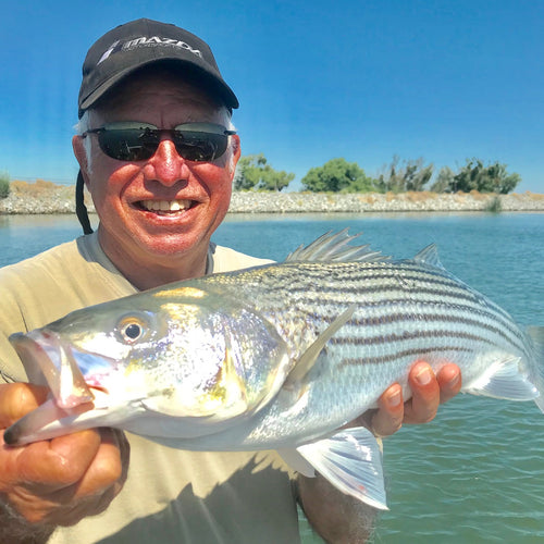 California Delta Fly Fishing Report
