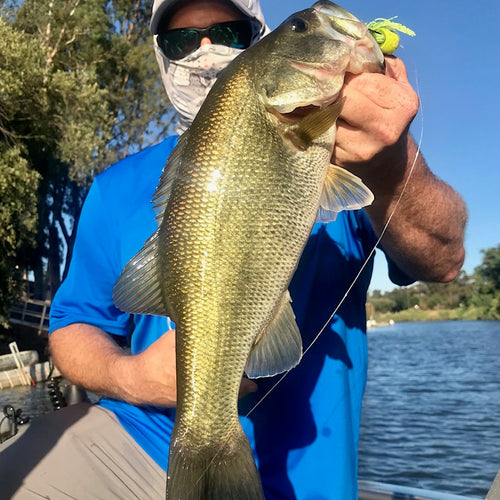 California Delta Fly Fishing Report