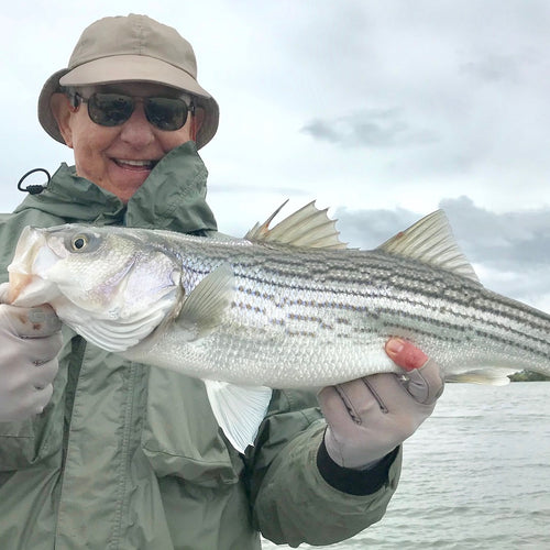 California Delta Fly Fishing Report