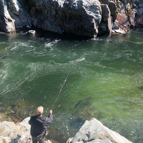California And Oregon Fly Fishing Report