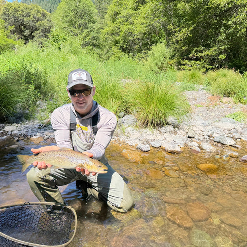 McCloud & Upper Sac Fly Fishing Report