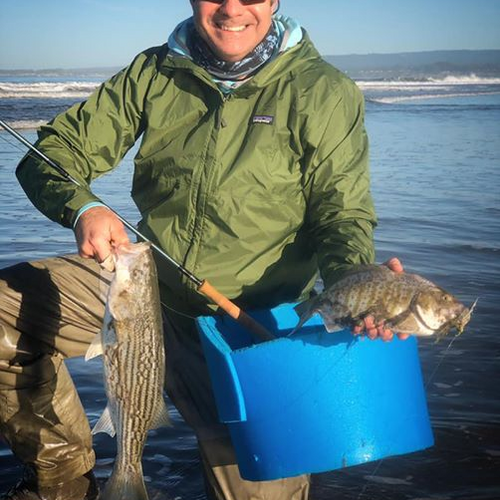 Monterey Surf Fly Fishing Report
