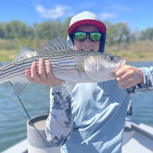 530 Outfitters Trout/Striper Summer Special
