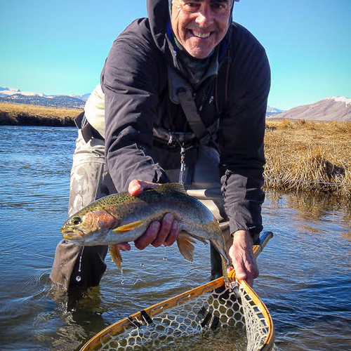 Eastern Sierra Fly Fishing Report