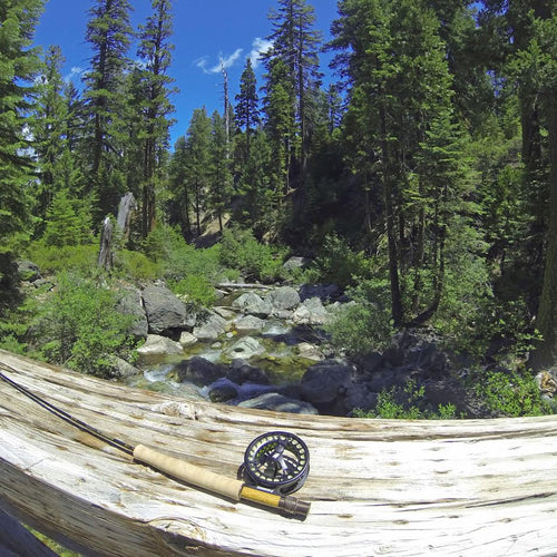 Central Valley Fly Fishing Report