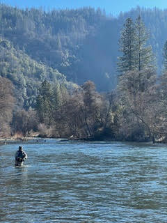 Trinity River/Lower Sacramento/Shasta Bass Fly Fishing Report