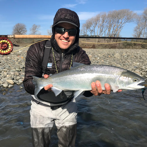 California Steelhead Report