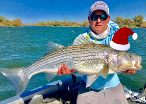 California Delta Fly Fishing Report