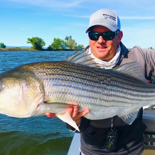 California Delta Fly Fishing Report