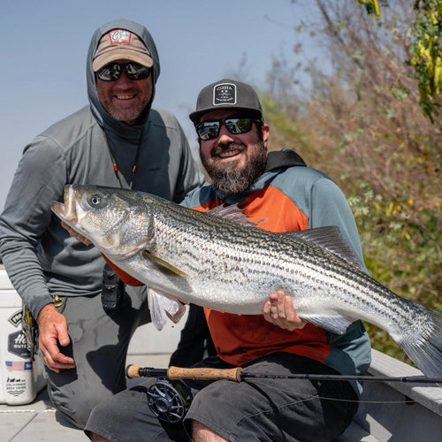 Central Valley Striped Bass Fly Fishing Report