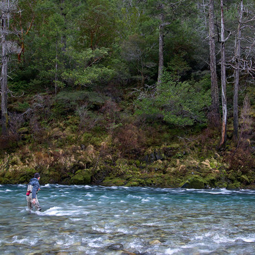 Eastern Sierra Fly Fishing Report
