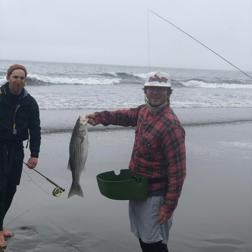 Local Surf, and Trinity Update