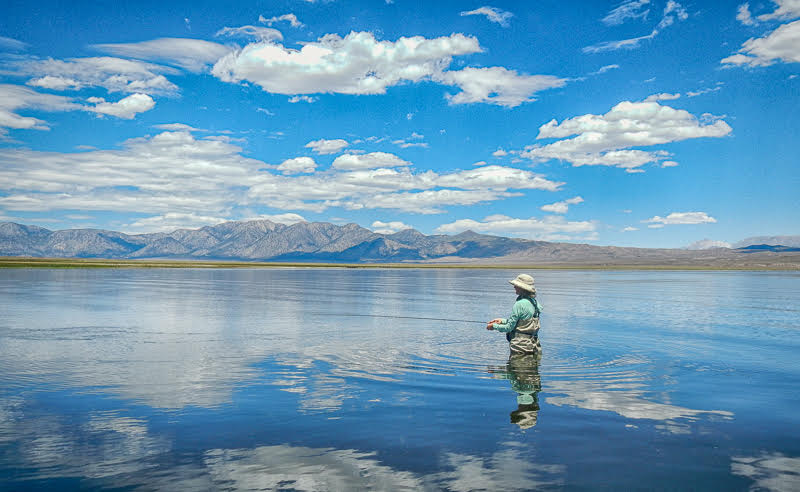 Eastern Sierra Fly Fishing Report
