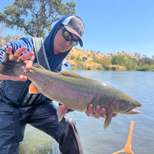 Putah Creek Fly Fishing Report
