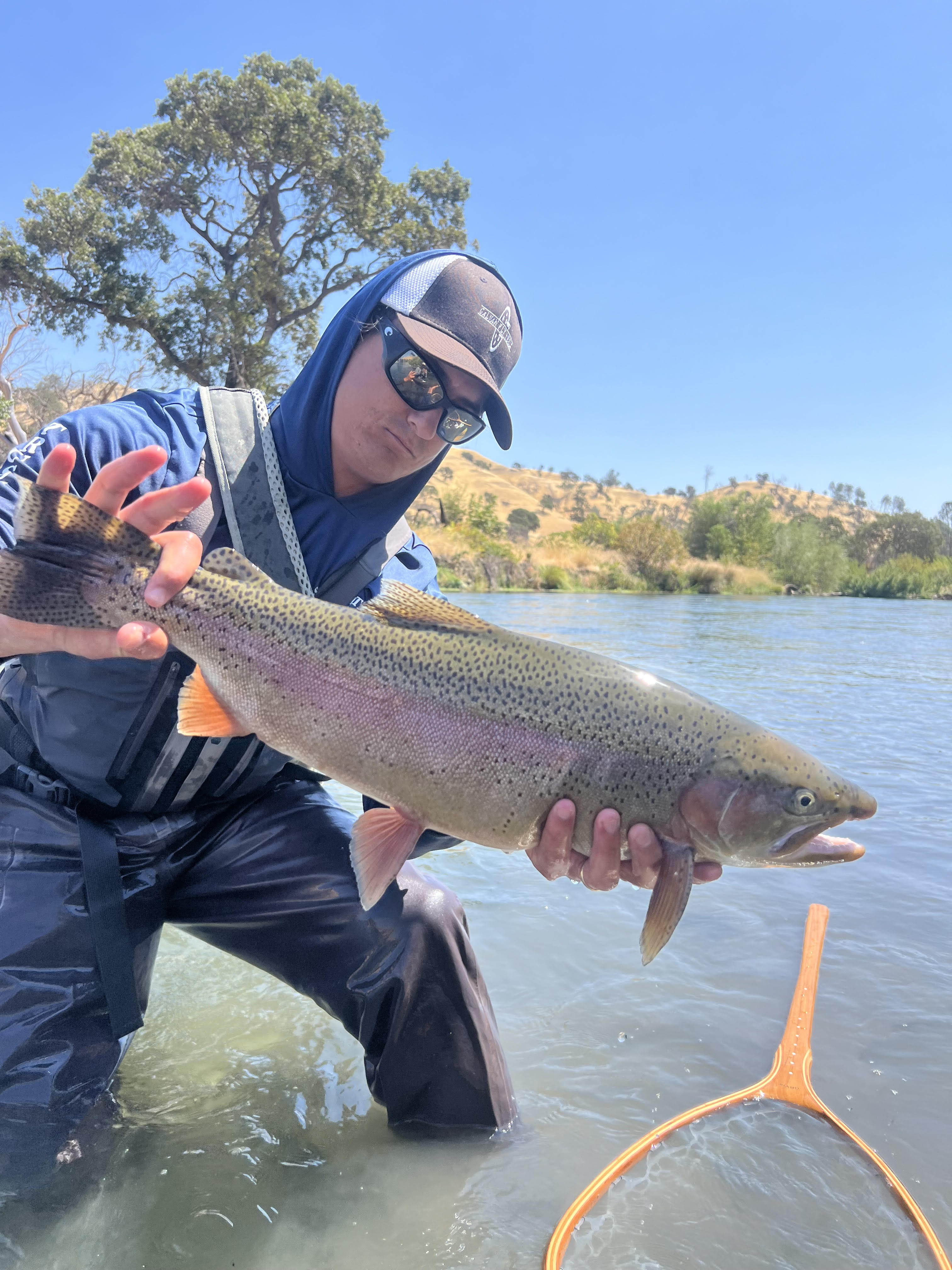 Putah Creek Fly Fishing Report