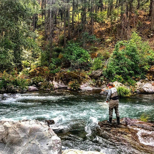 Northern California Fly Fishing Report