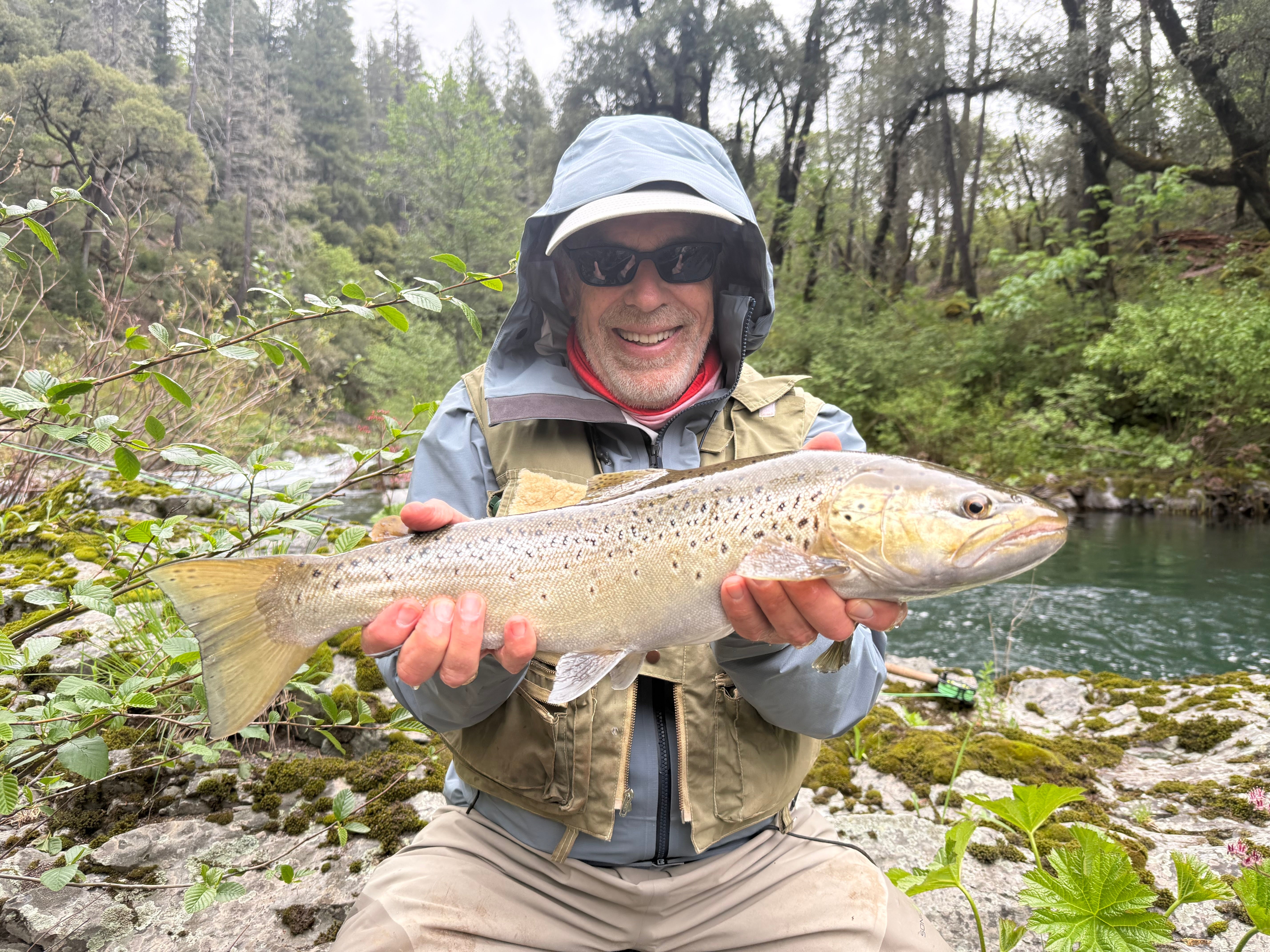 McCloud River & Upper Sac Fly Fishing Report