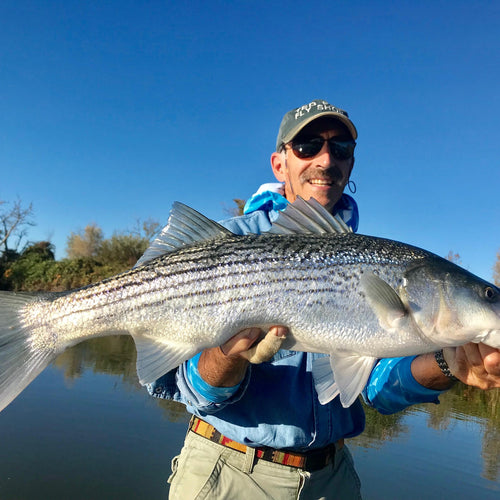 California Delta Fly Fishing Report